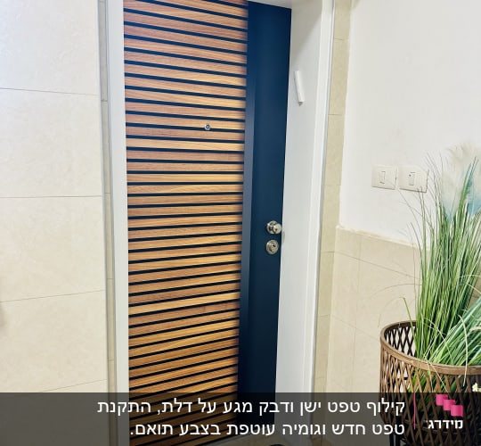 דלת מעוצבת עם ציפוי עץ וידית מתכת